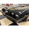 Image 17 : 1980 PONTIAC TRANS AM TURBO CONVERTIBLE