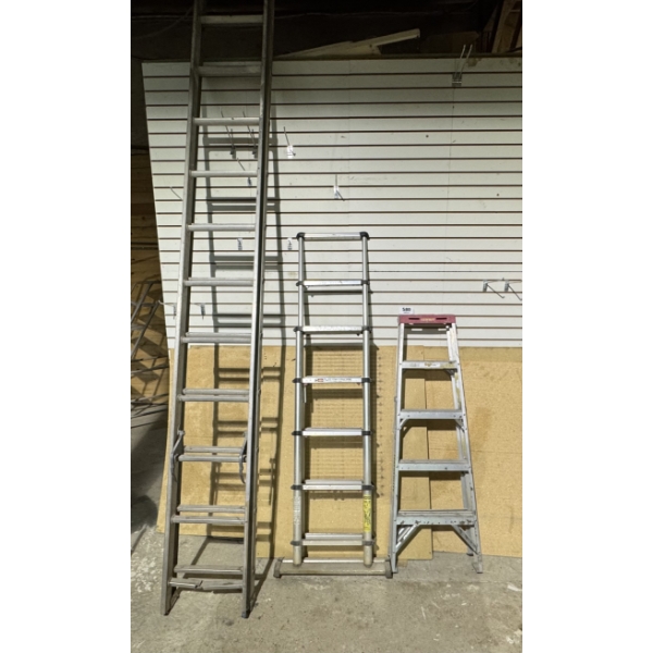 3 Shop Ladders