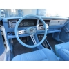 Image 12 : 1979 AMC AMX