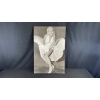Image 1 : MARILYN "SEVEN YEAR ITCH" PRINT 3FT X 2FT