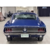 Image 7 : 1967 FORD MUSTANG 390 GT