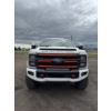 Image 5 : 2023 FORD F-350 HARLEY DAVIDSON EDITION 