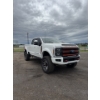 Image 2 : 2023 FORD F-350 HARLEY DAVIDSON EDITION 