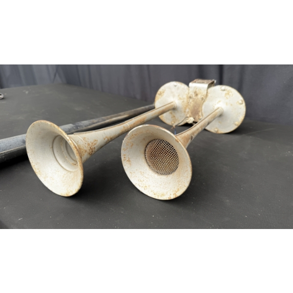 VINTAGE HORNS