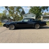 Image 4 : 1979 PONTIAC FIREBIRD