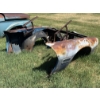 Image 6 : 1971 PONTIAC FIREBIRD Front clip only