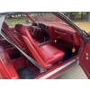 Image 8 : 1977 PONTIAC LEMANS SPORT GT
