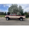 Image 5 : 1979 FORD F-250 LARIAT SC 4x4