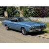Image 11 : 1969 CHEVROLET CHEVELLE SS 396