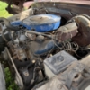 Image 14 : 15 –NO RESERVE 1975 FORD F-150 LONGBOX 2WD