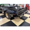 Image 19 : 1980 PONTIAC TRANS AM TURBO CONVERTIBLE