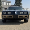 Image 2 : 1979 PONTIAC FIREBIRD