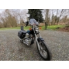 Image 9 : 1993 HARLEY DAVIDSON SPORTSTER