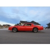 Image 5 : 1976 PONTIAC FIREBIRD TRANS AM 