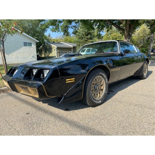1979 PONTIAC FIREBIRD