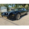 Image 1 : 1979 PONTIAC FIREBIRD