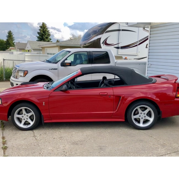 1999 FORD MUSTANG COBRA SVT CONVERTIBLE