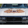 Image 10 : 1979 AMC AMX