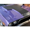 Image 12 : NO RESERVE 1973 DODGE CHALLENGER 340