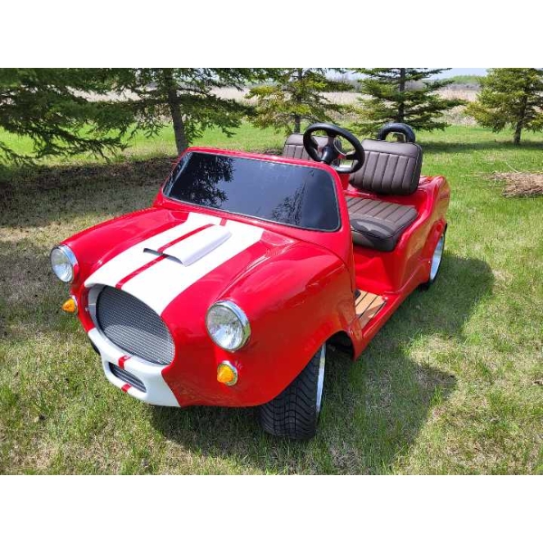 CUSTOM 1996 ELECTRIC GOLF CART