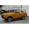 Image 8 : 1976 FORD BRONCO
