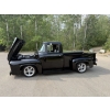 Image 3 : 1956 FORD F100 