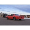 Image 6 : 1976 PONTIAC FIREBIRD TRANS AM 