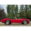 Image 9 : 1965 SHELBY COBRA 427