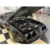 Image 53 : 1980 PONTIAC TRANS AM TURBO CONVERTIBLE
