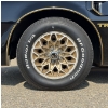 Image 5 : 1979 PONTIAC FIREBIRD