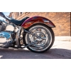Image 8 : 2007 OCC T-REX SOFTAIL 