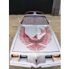Image 2 : 1981 PONTIAC TRANS AM