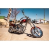 Image 4 : 2007 OCC T-REX SOFTAIL 