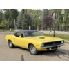 Image 6 : 1970 PLYMOUTH CUDA 383 GATER GRAIN