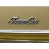 Image 8 : 1979 LINCOLN TOWN CAR