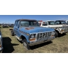Image 3 : 1978 FORD F-100 CUSTOM