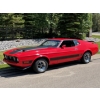 Image 8 : 1973 FORD MUSTANG MACH I 351 COBRA JET