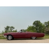 Image 8 : 1964 FORD THUNDERBIRD