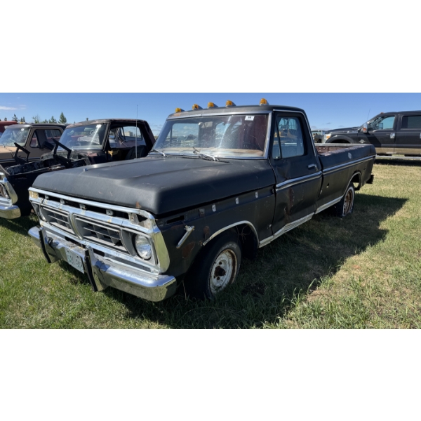 1976 FORD F-150