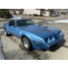 Image 2 : 1981 PONTIAC TRANS AM TURBO