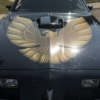 Image 3 : 1979 PONTIAC FIREBIRD