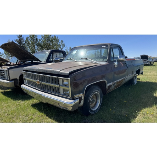 1982 CHEVROLET SILVERADO 10