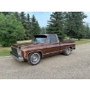 Image 4 : 1979 CHEVROLET SILVERADO