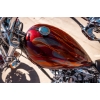 Image 17 : 2007 OCC T-REX SOFTAIL 