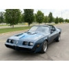 Image 6 : NO RESERVE 1981 PONTIAC TRANS AM