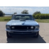 Image 8 : 1969 FORD MUSTANG
