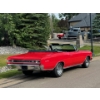 Image 2 : NO RESERVE 1966 CHEVROLET CHEVELLE SS396 CONVERTIBLE