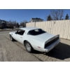 Image 6 : 1979 PONTIAC TRANS AM