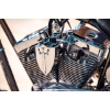 Image 11 : 2007 OCC T-REX SOFTAIL 