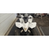 Image 4 : 2008 SUSKI ATV 